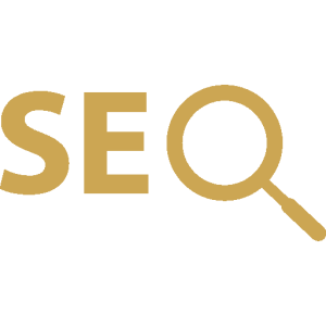 SEO SCORE