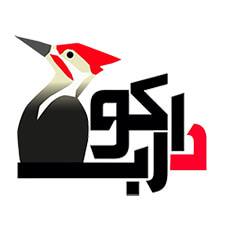 شرکت دارکوب