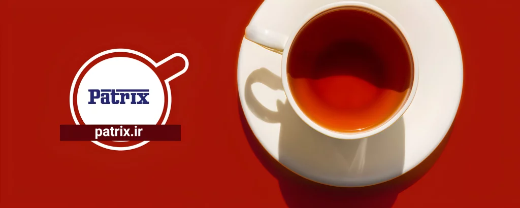 سئو سایت پاتریکس