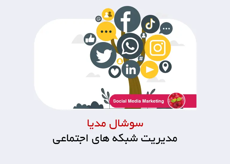 مدیریت شبکه های اجتماعی چیست