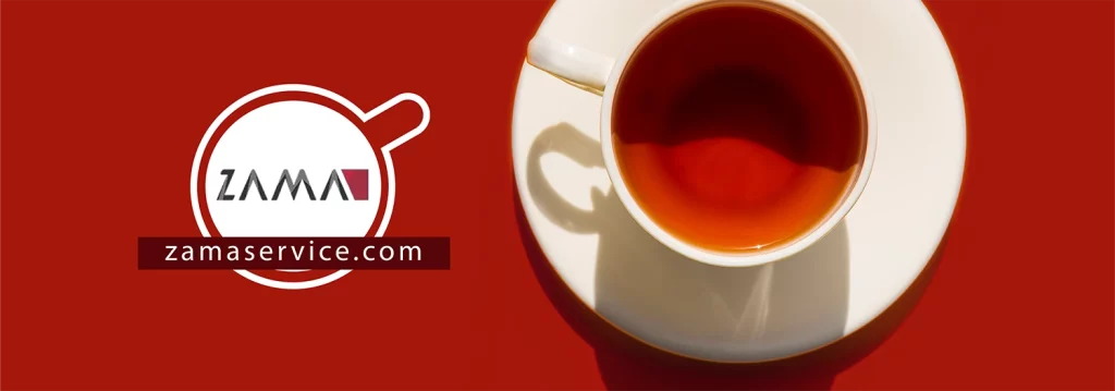 بک گراند صفحه سئو سایت زاما سرویس